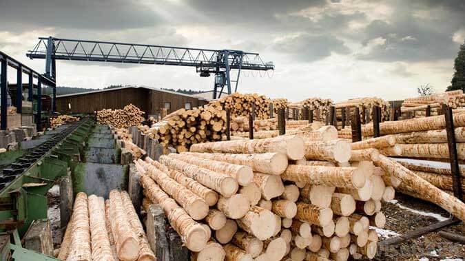 Baumstämme werden nach Größe sortiert