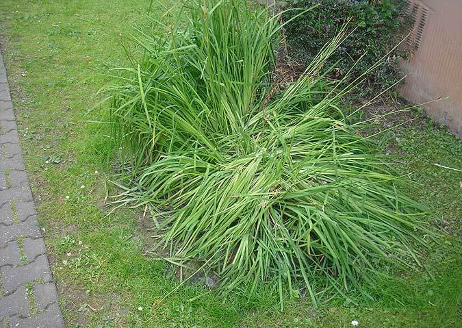 Gerätehaus entsteht: der Standort vorher