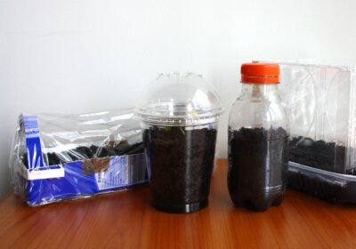 Kleines Häuschen, großer Effekt! – So bauen Sie sich Ihr eigenes Mini-Gewächshaus mini-gewaechshaeuser