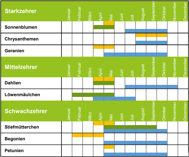 Pflanzkalender Blumen