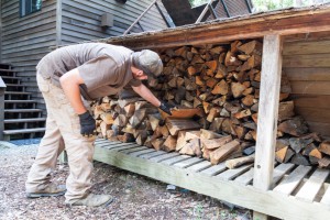 In einem Unterstand kann man Brennholz ordentlich lagern.