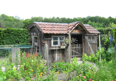 Gartenhaus renovieren: Darauf müssen Sie achten! altes Gartenhaus