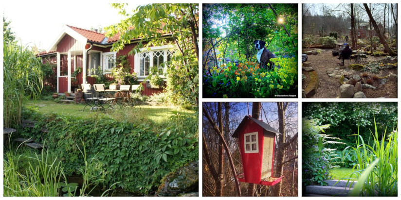 Skandinavischer Garten