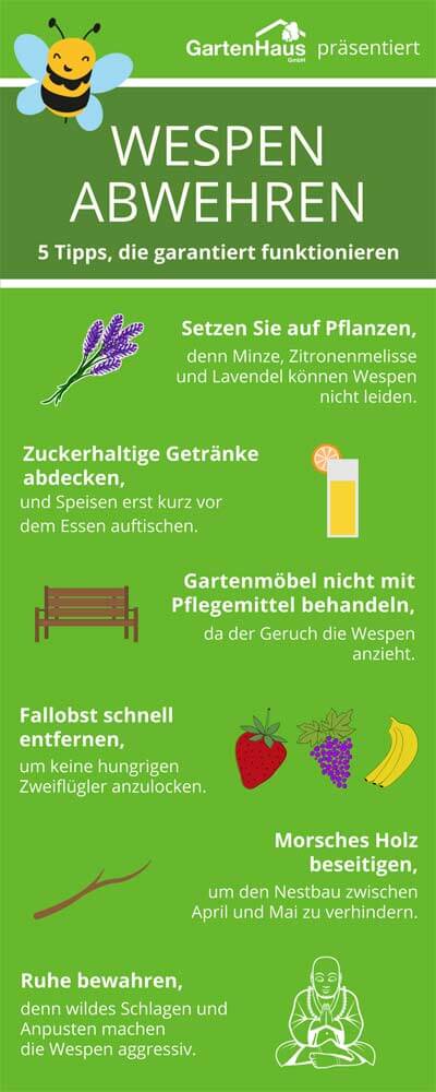 Wespen vertreiben
