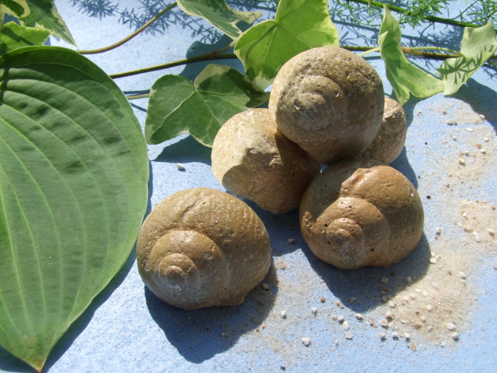 Schnecken aus Beton