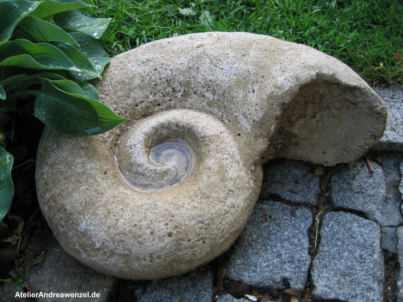 Bilderhauer-Schnecke aus Stein