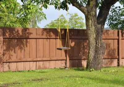 Fremde Äpfel im eigenen Garten? Die wichtigsten Fakten zum Nachbarrecht in Deutschland Fremde Äpfel im eigenen Garten? Die wichtigsten Fakten zum Nachbarrecht in Deutschland