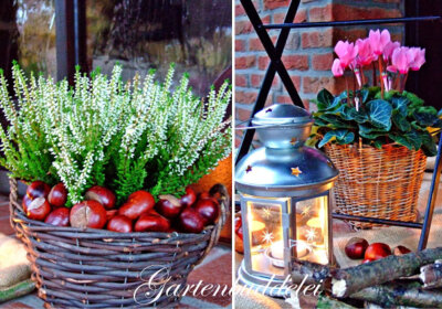 Achtung Inspiration! Herbstgarten Dekoideen von Bloggern für Sie herbstdeko-vor-der-tür-kastanien-gartenbuddelei