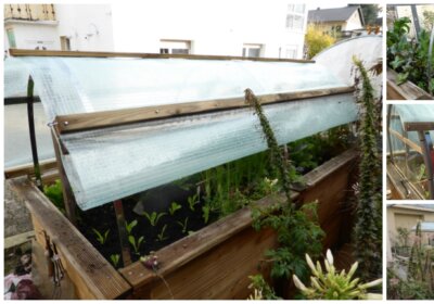 Ein Hochbeet wird zum Mini-Gewächshaus: Jürgens Inspiration zum Selberbauen Ein Hochbeet wird zum Mini-Gewächshaus: Jürgens Inspiration zum Selberbauen