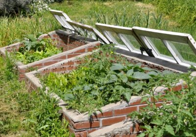Selbstversorger aufgepasst: Wie Sie ein Frühbeet richtig bepflanzen Selbstversorger aufgepasst: Wie Sie ein Frühbeet richtig bepflanzen