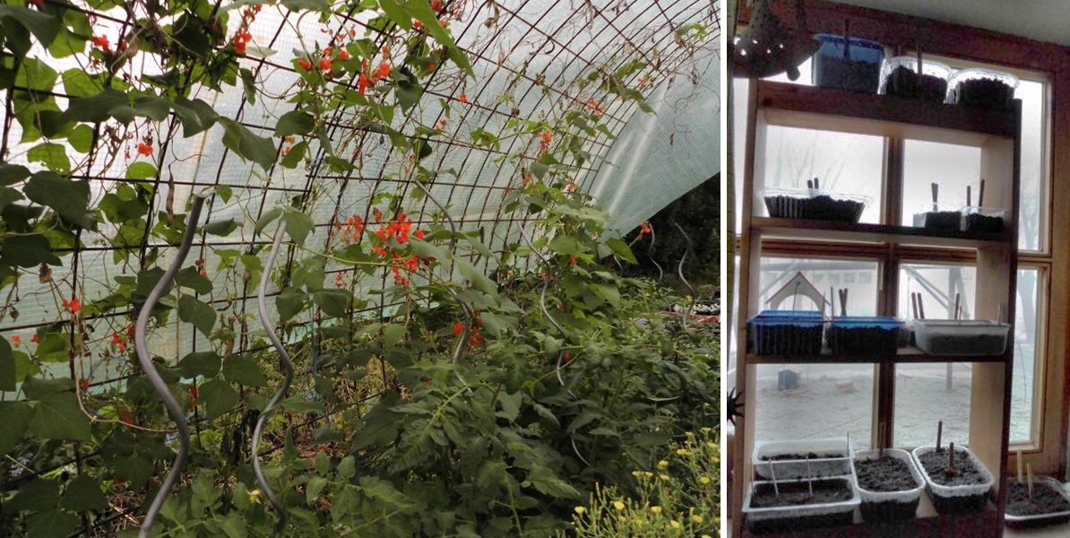 Der Fruehling im Permagarten