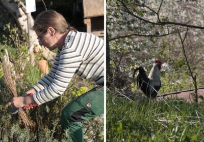 Mensch, Tier, Natur – in Hannes‘ Permagarten arbeiten alle im Team Mensch und Tier im Permagarten