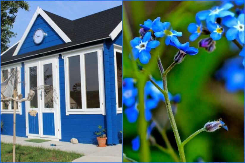 gartenhaus-blumenbeet-blau