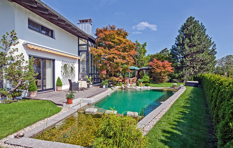 Naturpool oder Schwimmteich?