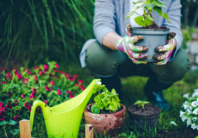 Garten im Frühling: So machen Sie Garten & Gartenhaus frühlingsfit Person kniet im Garten und hält Blumentopf in den Händen