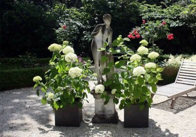 Tipps für die Gartengestaltung mit Pflanzkübeln: So setzen Sie schöne Akzente Pflanzkübel im Garten