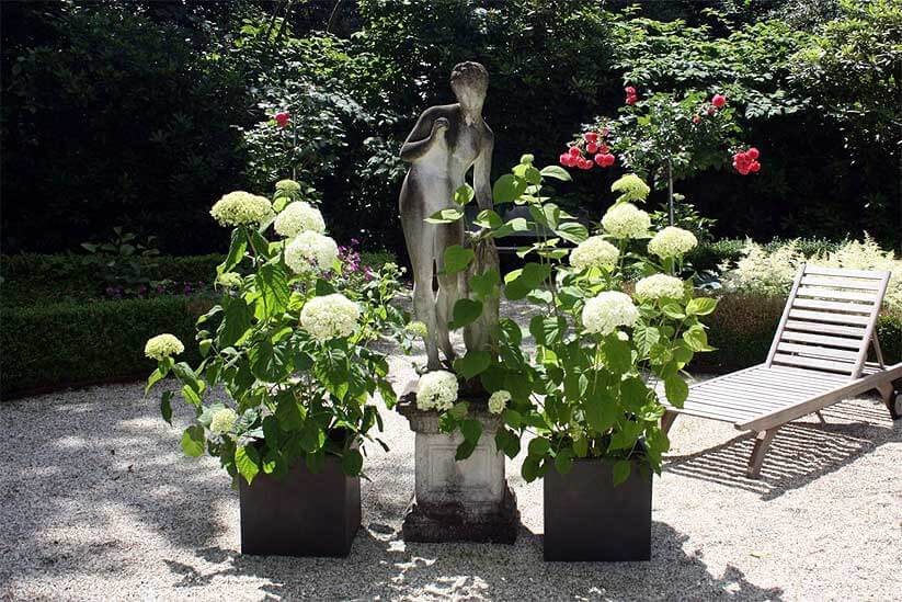 Pflanzkübel im Garten