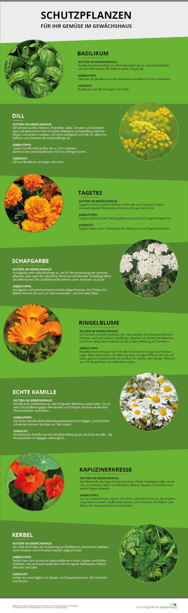 schutzpflanzen grafik fuer gewaechshaus