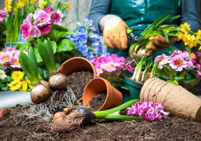Blumenbeet im Frühling: Mit diesen Pflanzen wird dein Garten ein Hingucker blumen und blumentoepfe in blumenerde