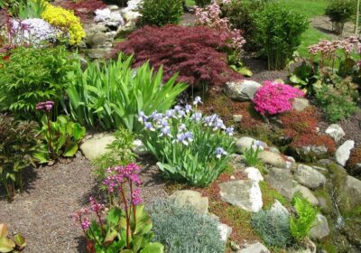 Steingarten anlegen: Anleitung, Tipps und Ideen zur Gestaltung Steingarten anlegen im Garten