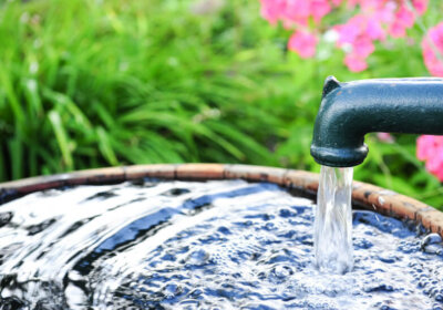 Wasser im Garten: Alles, was du zum Brunnen anlegen wissen musst Wasserstrahl in Eimer