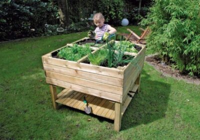 So sieht der perfekte Hochbeet Standort aus So sieht der perfekte Hochbeet Standort aus