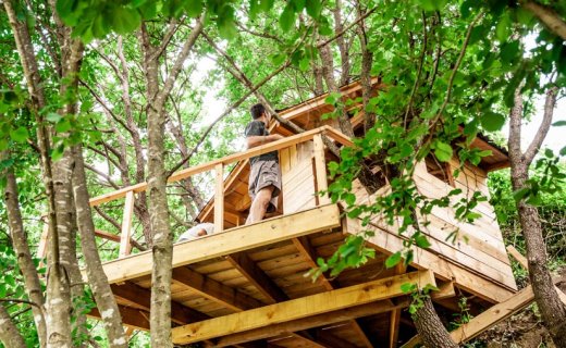 Baumhaus Genehmigung: Ab wann brauchen Sie eine? Baumhaus selber bauen