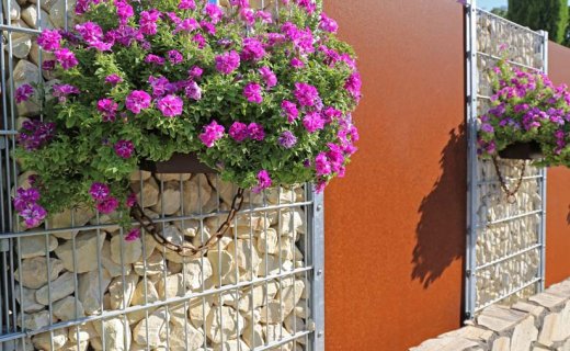 Gabionen bepflanzen: Ideen, Anleitung und Tipps zum Nachmachen Gabionen Zaun bepflanzen