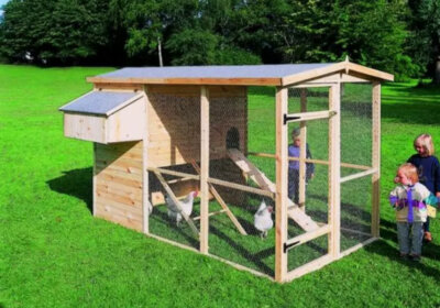Kleintierhaltung im Garten: Was ist erlaubt, was ist nicht erlaubt? Hühnerstell mit Kindern