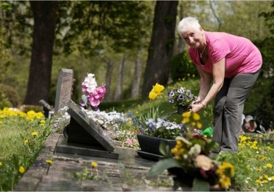 Grabbepflanzung: winterhart und ganzjährig pflegeleicht Ältere Frau befplanzt ein Grab