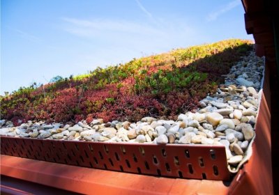 Dachbegrünung Gartenhaus: Ideen und Tipps zum Gartenhaus begrünen Dachbegrünung auf einem Gartenhaus