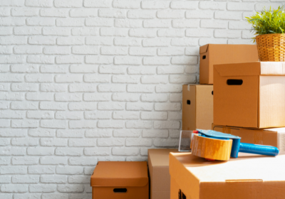 Umzug mit Garten: 10 Tipps, wie Sie mit Pflanzen umziehen! Garten Umziehen mit Pflanzen