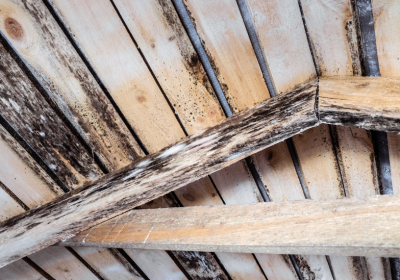 Flecken aus Holz entfernen: Das sind die besten Tipps! Flecken aus Holz entfernen