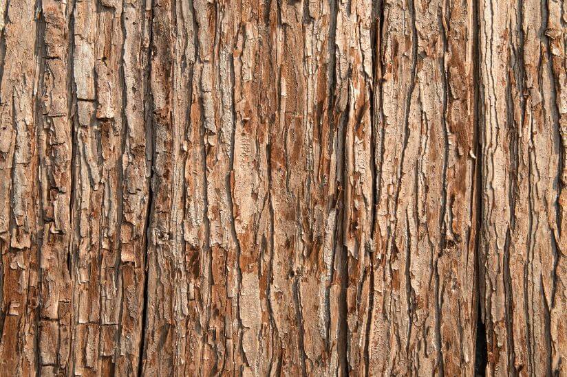 flecken-holz-entfernen