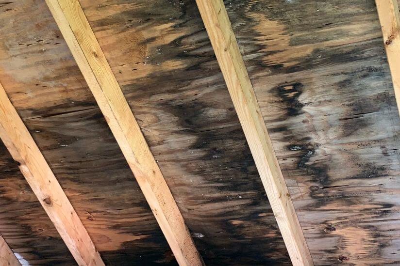 Fleckiges Holz im Dachstuhl