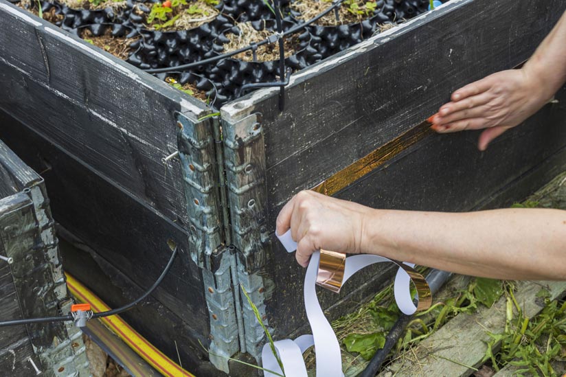 Kupferband gegen Schnecken