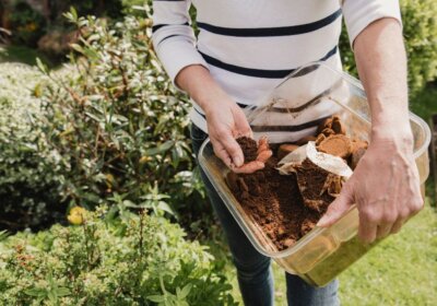 Kaffeesatz als Dünger: Eine umweltfreundliche Alternative für den Garten? Kaffesatz als Duenger für die Pflanzen verwenden